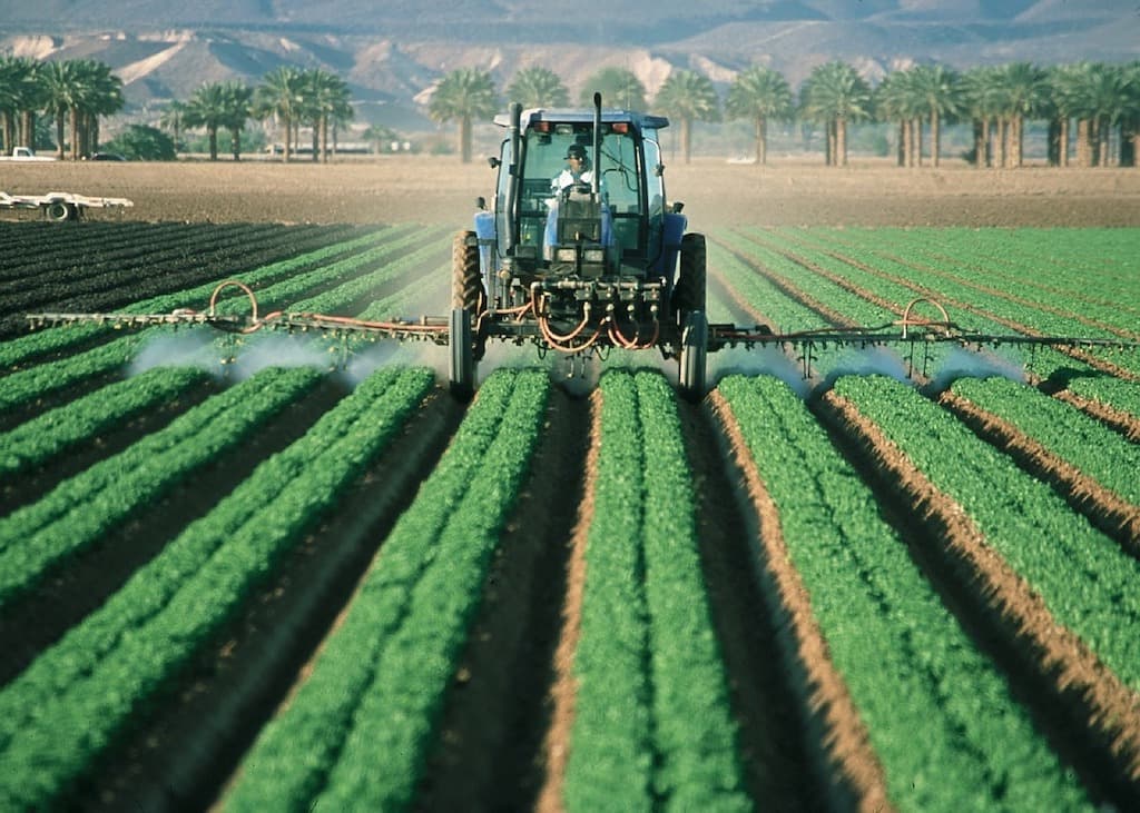 Danish investors accumulate arable land in eastern Romania