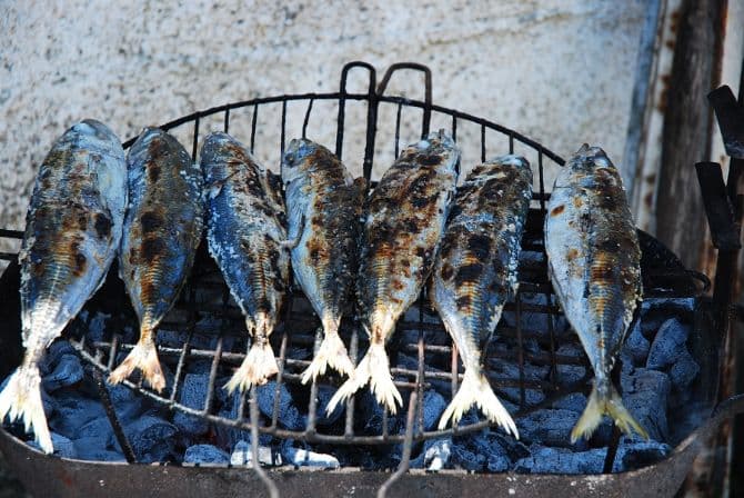 Bucharest park hosts big fish festival this week