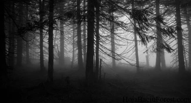 Welcome to the dark side: Seven mysterious places in Romania