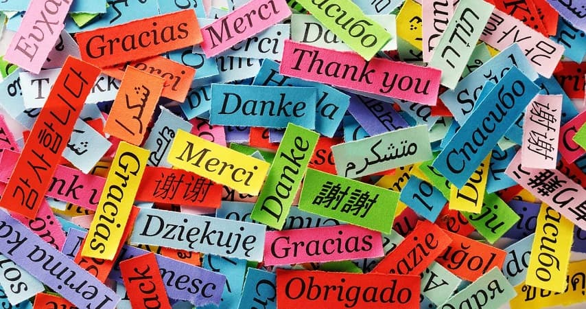 Over 95% of Romanian secondary school students study at least two foreign languages