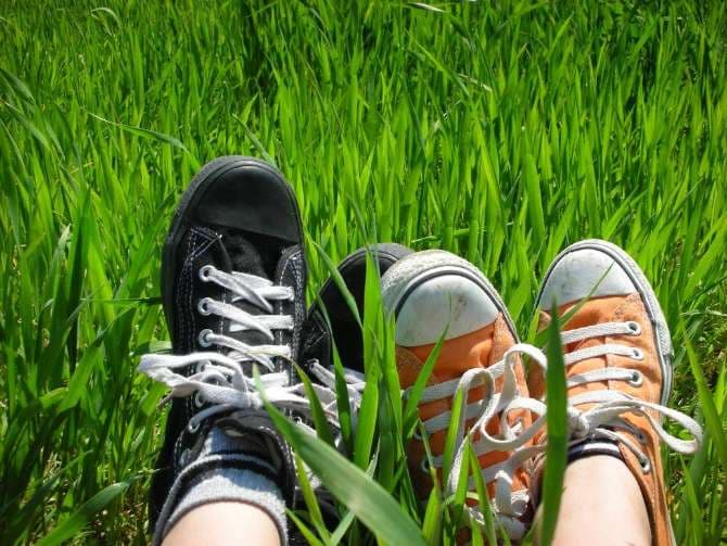 Bucharest weekend festival celebrates World Environment Day