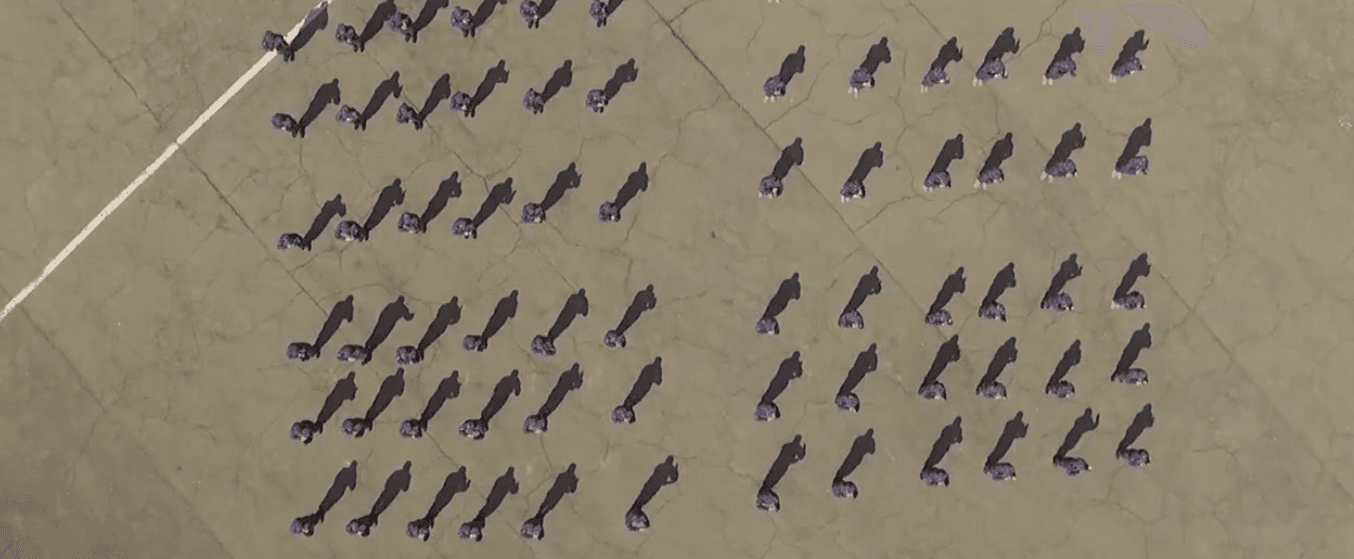Film soundtracks, dance moves in Romanian Navy promo video