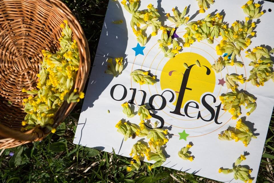 Festival dedicated to NGOs, organized in Bucharest park this weekend