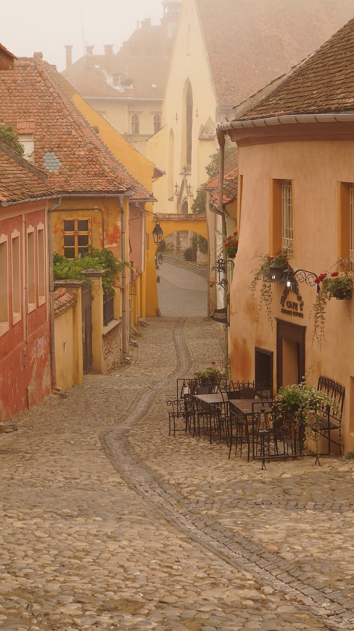 Account of trip to rural Transylvania wins The Telegraph writing competition