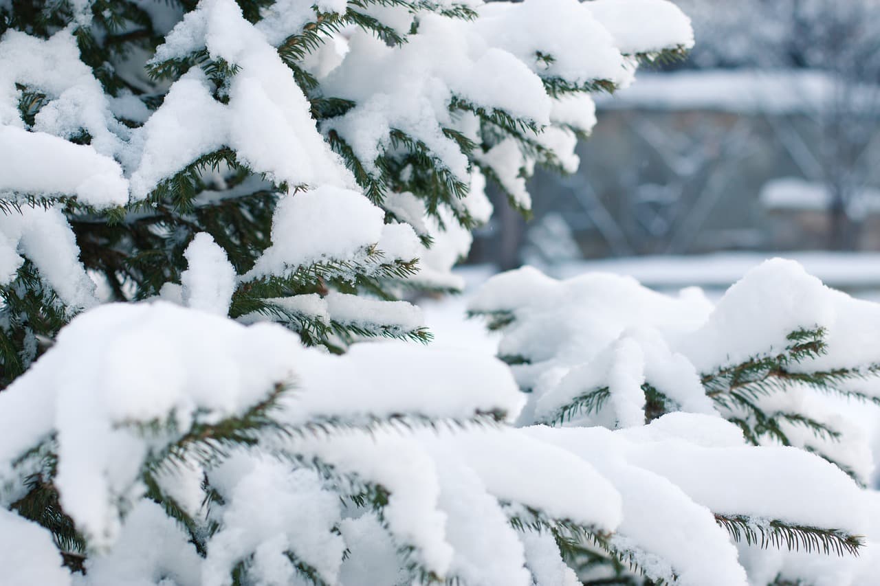 Schools in western Romania remain closed amid heavy snowfall