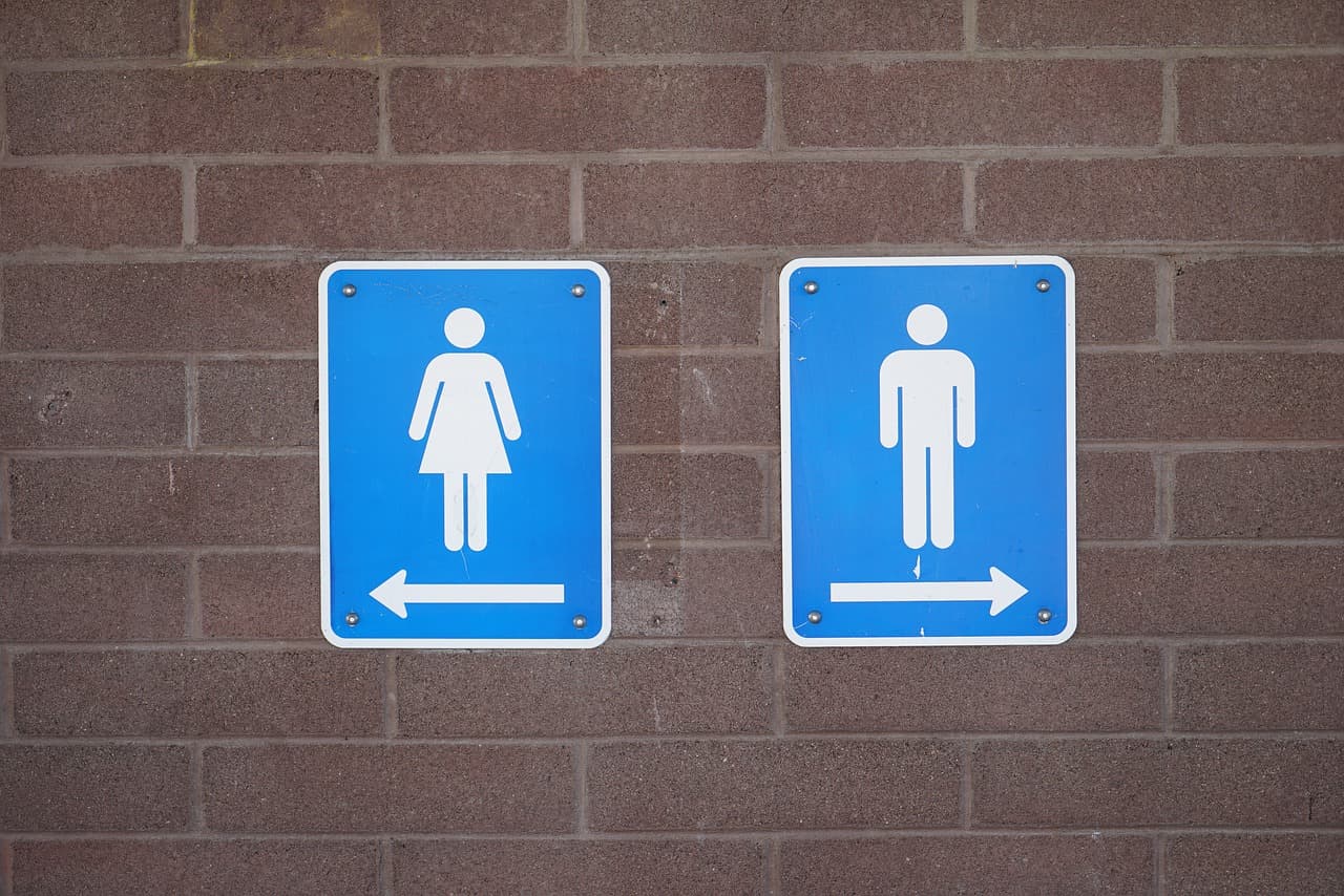 Romanian seaside resort authorities spend EUR 150,000 on three public toilets