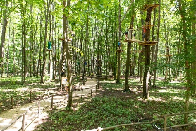 Adventure parks near Bucharest: where to go to test your limits