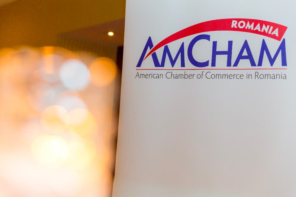 AmCham warns about accelerated decrease in quality of public policy, governance in Romania