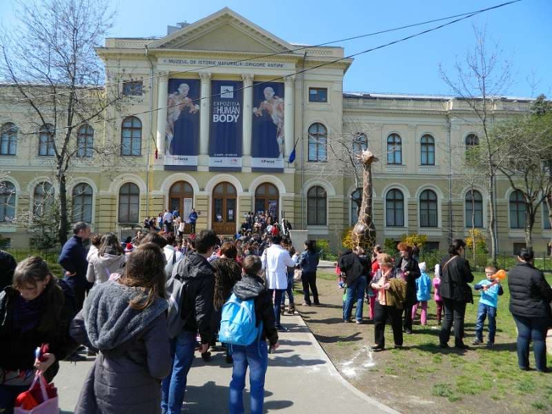 Antipa Museum: Over 16,000 people visit ‘controversial’ Human Body exhibition in Bucharest