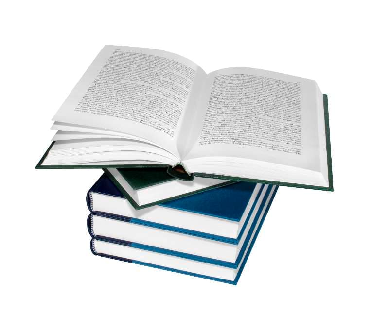 International writers come to literature festival in Romania