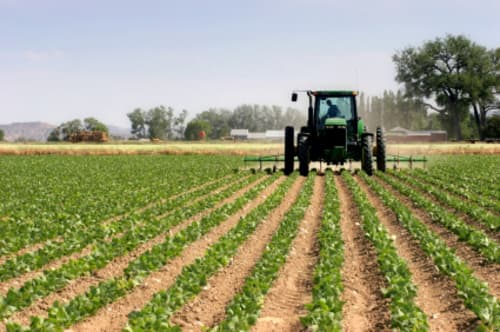 Romanian finds old bomb while conducting agricultural field work