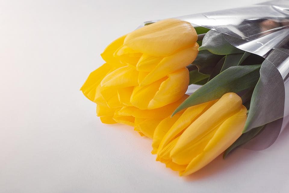 Romanian police levy EUR 1 million fines for illegal flower trade