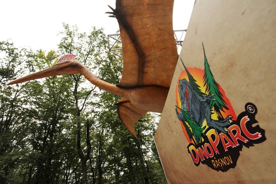 Fossils of prehistoric mammals on display at Romania’s Dino Parc