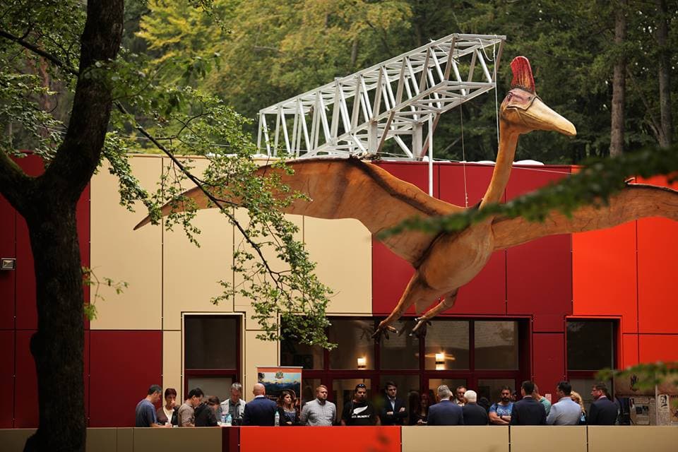 Largest flying dinosaur, real dinosaur eggs on display at Romania’s Dino Parc