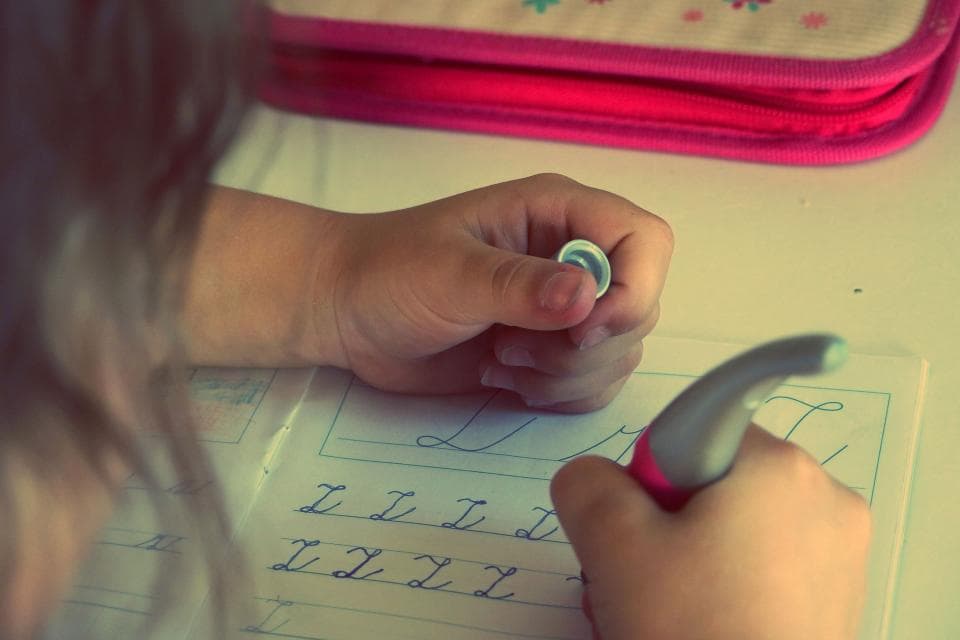 Romanian education minister: Students should do their homework at school