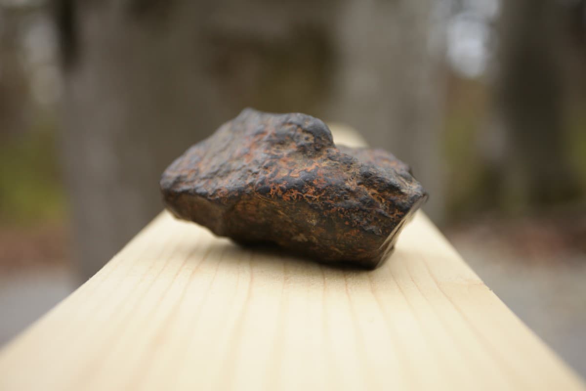 Extremely rare meteorite discovered in Romania, on display at Dino Parc