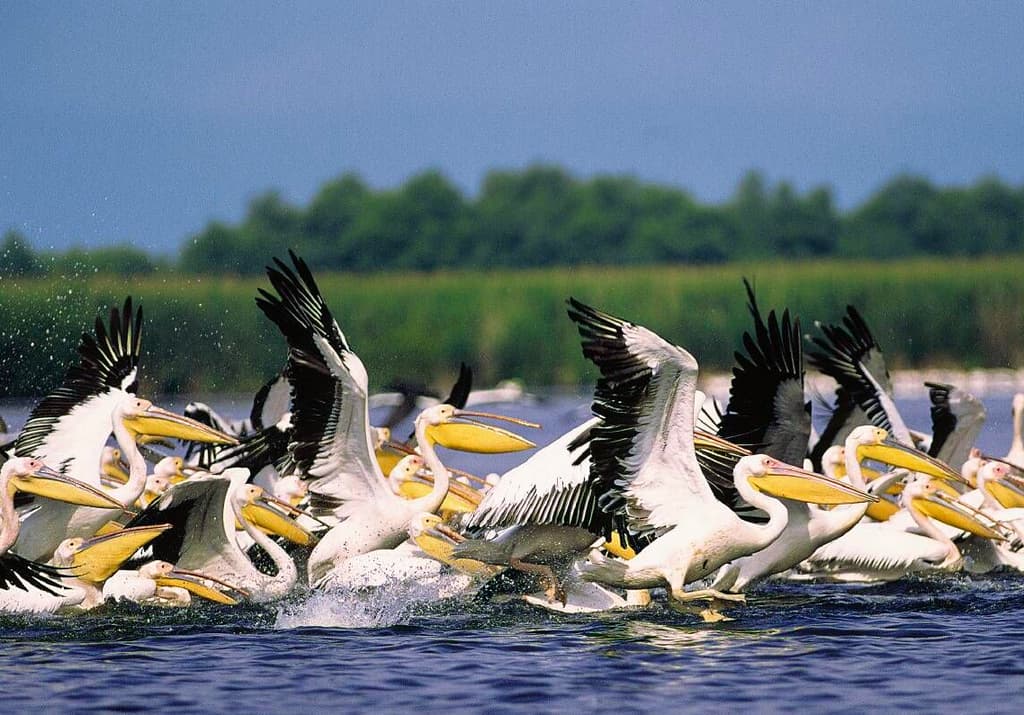 Romania’s Danube Delta, Transfagarasan are “must see” Eastern Europe destinations