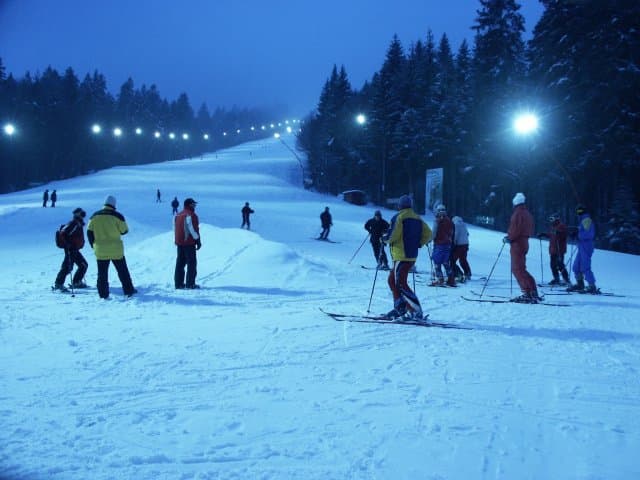 Two bears spotted near popular ski slope in Romania