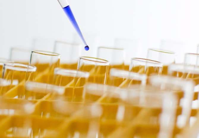 Professors abroad removed from Romanian research institutions’ boards