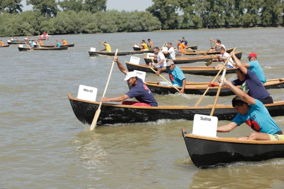 International rowing boats festival in Romania's Danube Delta this weekend