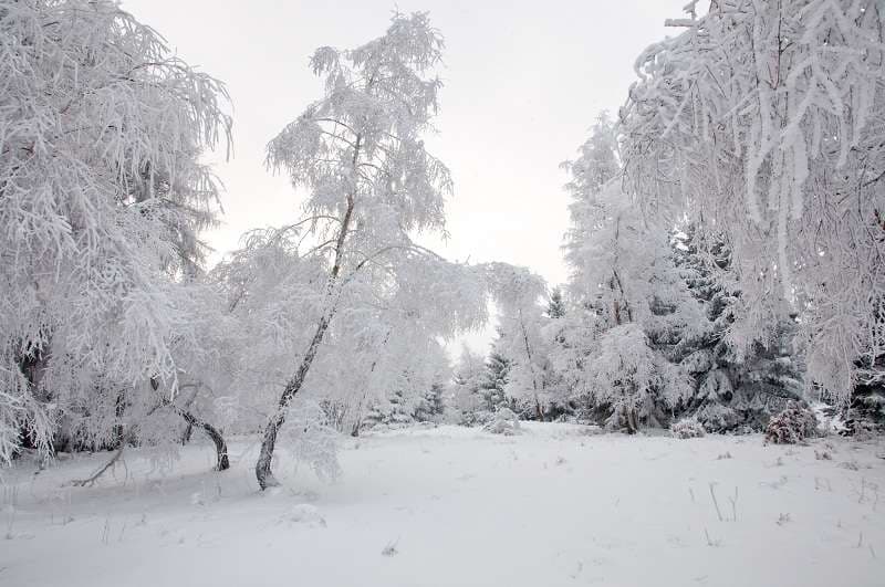 Romania faces low temperatures, strong winds