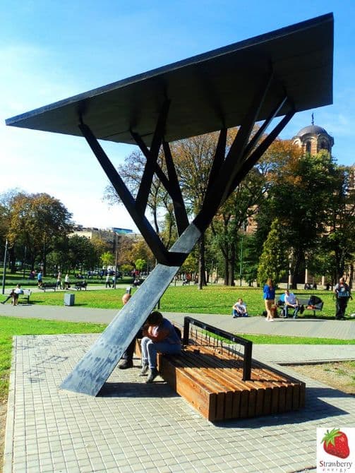 Romanian city hosts first high-tech 'Strawberry tree'