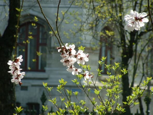 Bucharest District 3 City Council pays EUR 20 mln for green areas