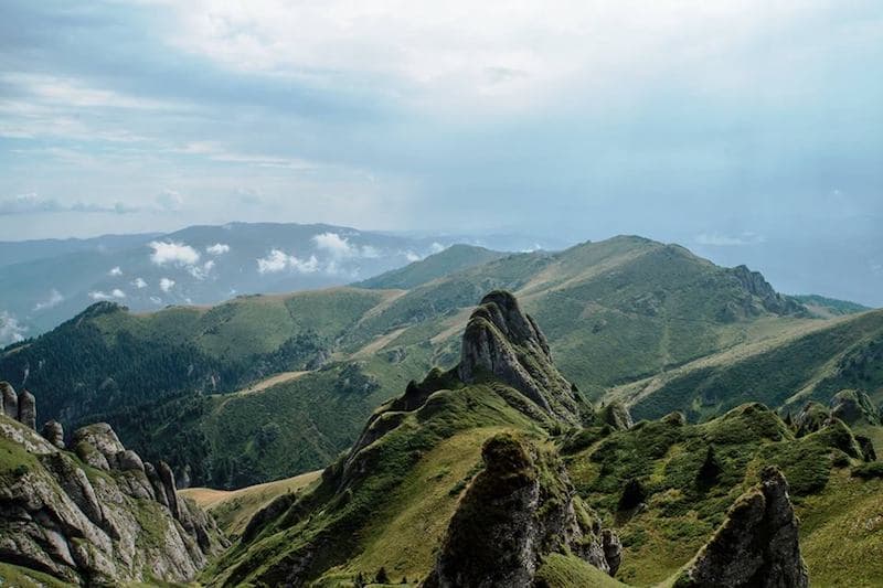 New Wild Carpathia episode on Romania's nature, screened at the UN