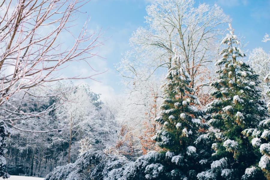 Where do most Romanians prefer to spend their winter holidays?
