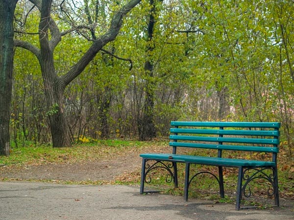 Romania to build 285 parks countrywide with EUR 50 million