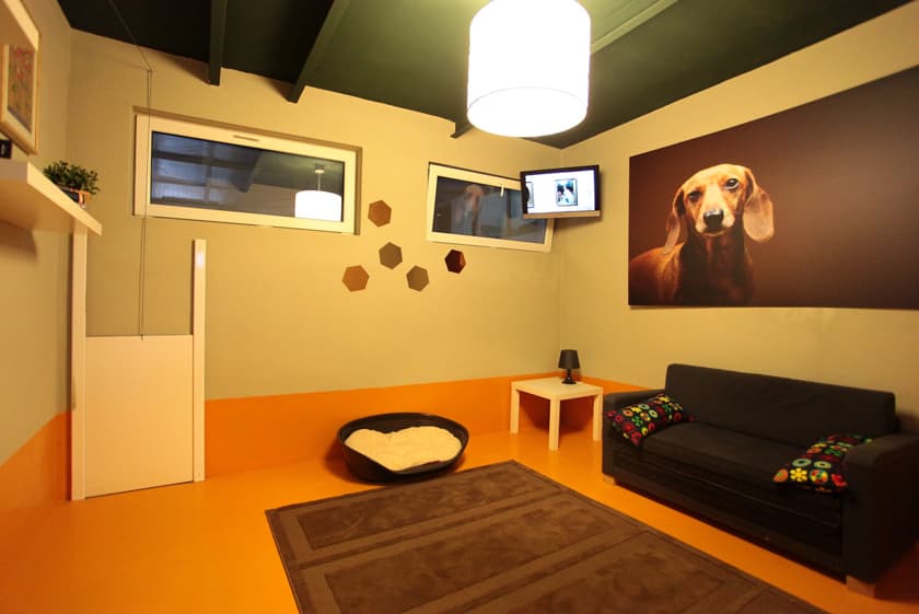 Pet hotel opens new wing in Bucharest with EUR 300,000 investment