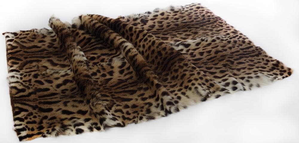 Ceausescu's diplomacy treasures sold for EUR 54,000 at auction in Romania