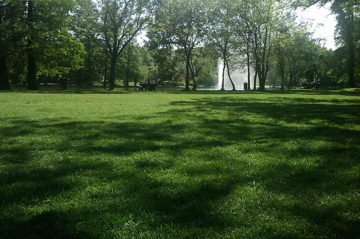 Bucharest, second most polluted capital in Europe but ranks better than Paris on green areas
