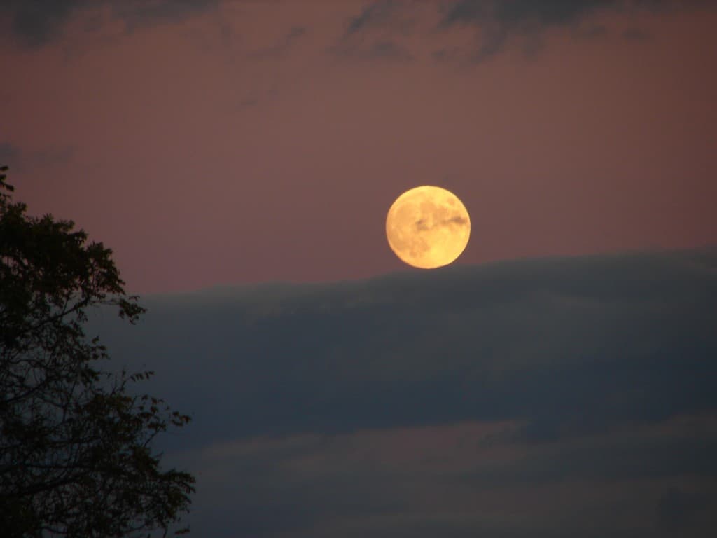 Super Moon to shine brighter on Saturday evening skies