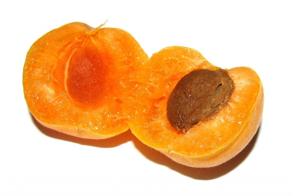 Rachel's recipes: Apricots any which way & a decadent Apricot & White Chocolate Tart