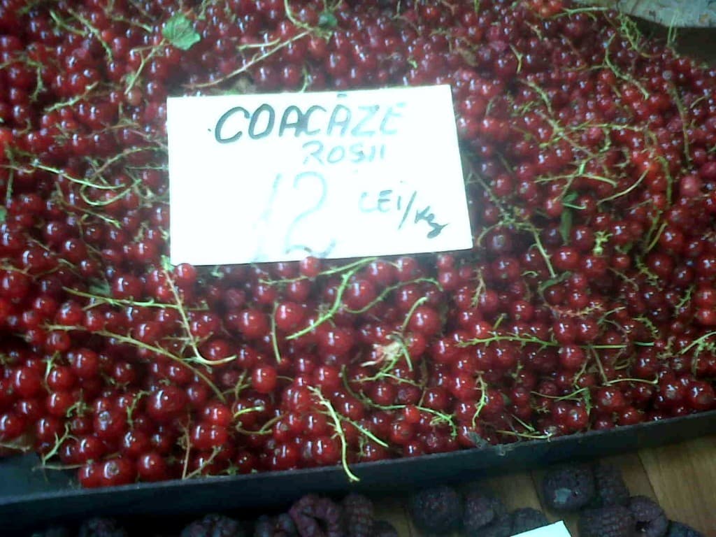 Rachel's recipes: Berry berry delicious redcurrants and a posh crumble