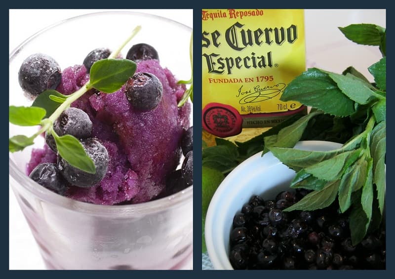Rachel's recipes: Romanian Blueberry Mojito Sorbet