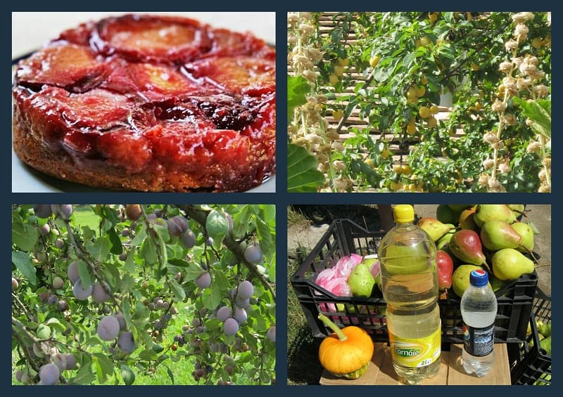 Rachel's recipes: Sticky upside down plum & Tuica cake