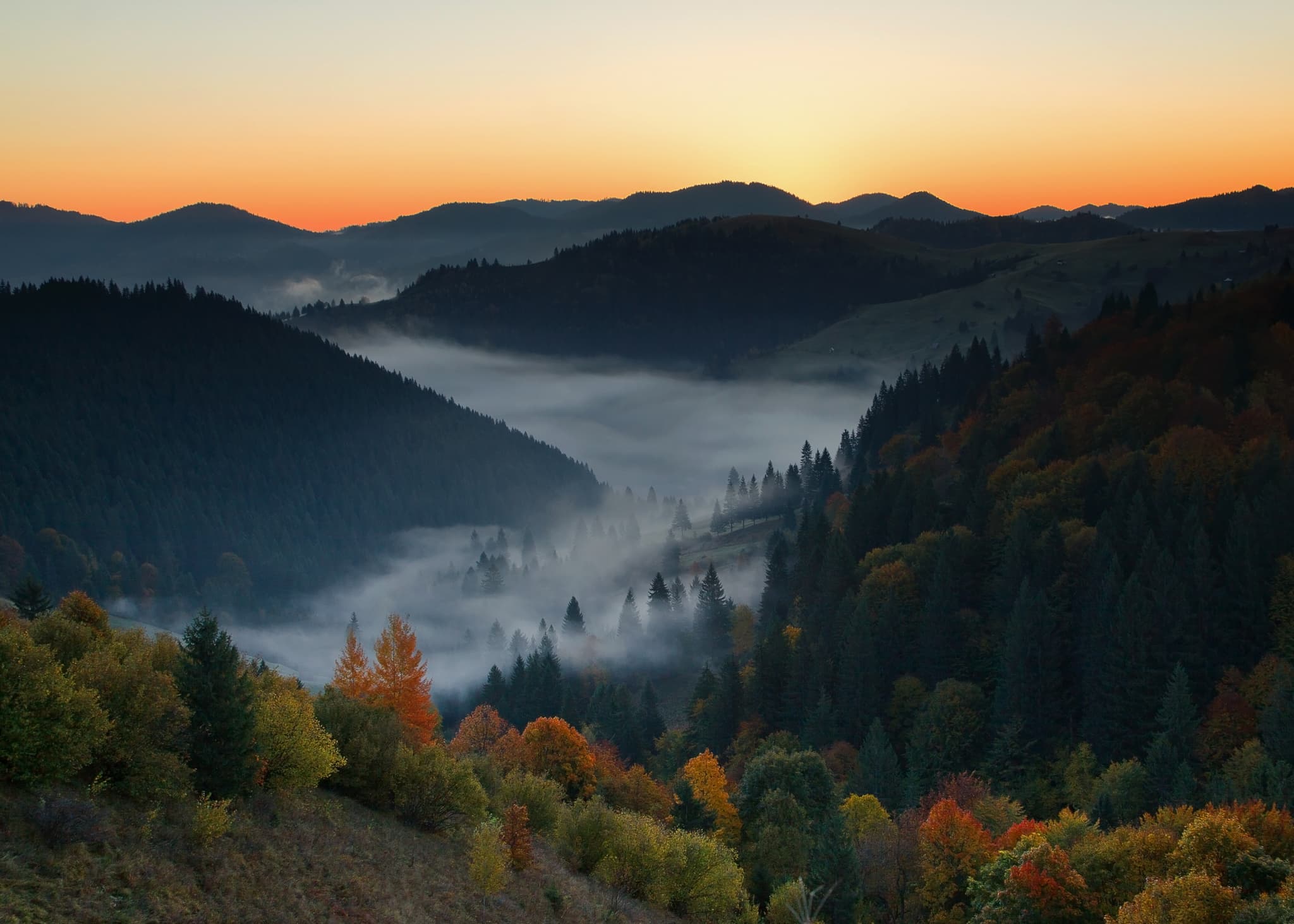 View in Bucovina