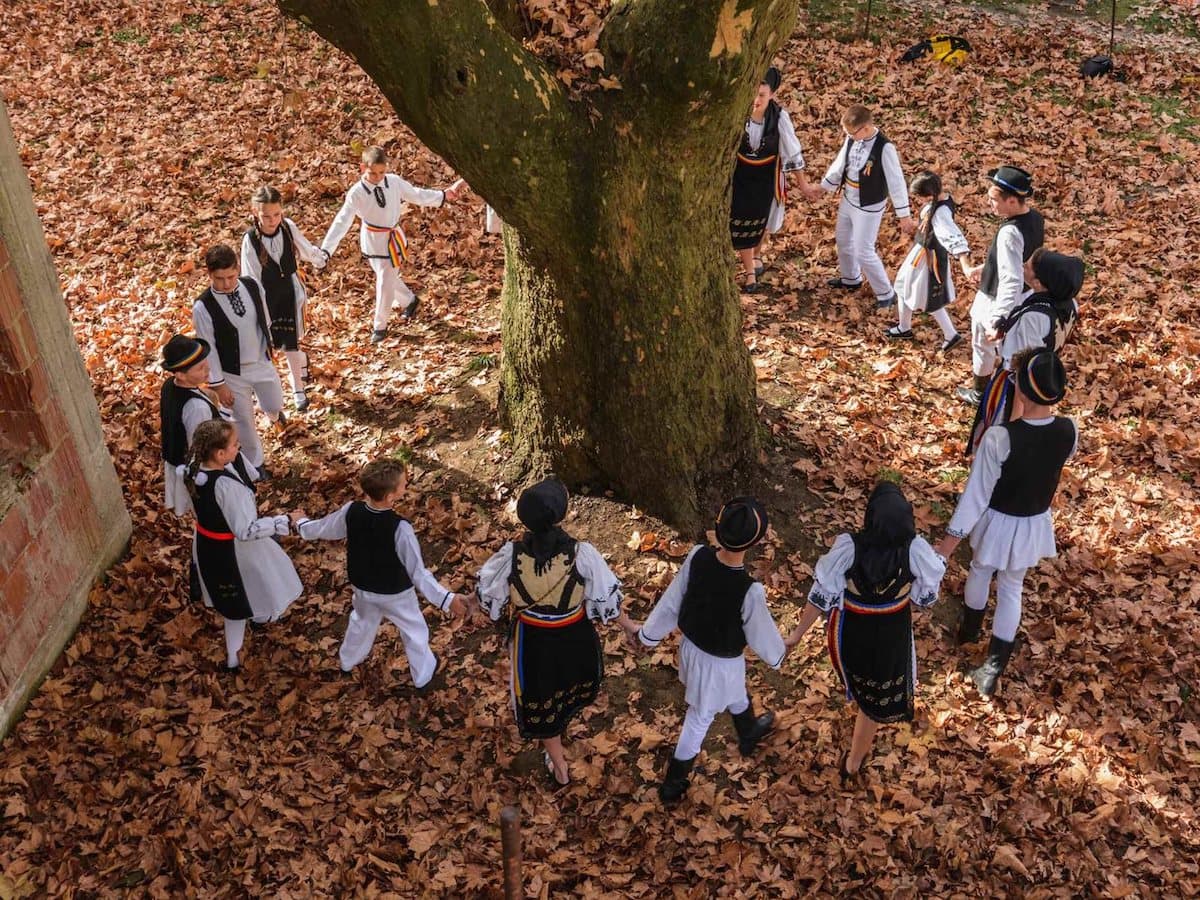 Romania’s Tree of the Year, partially cut
