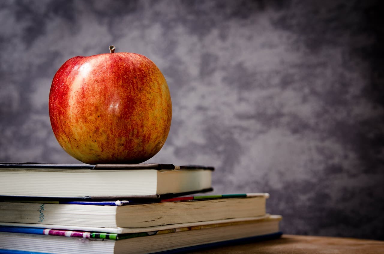 Romania gets close to EUR 18 mln from EU’s School scheme for healthy eating