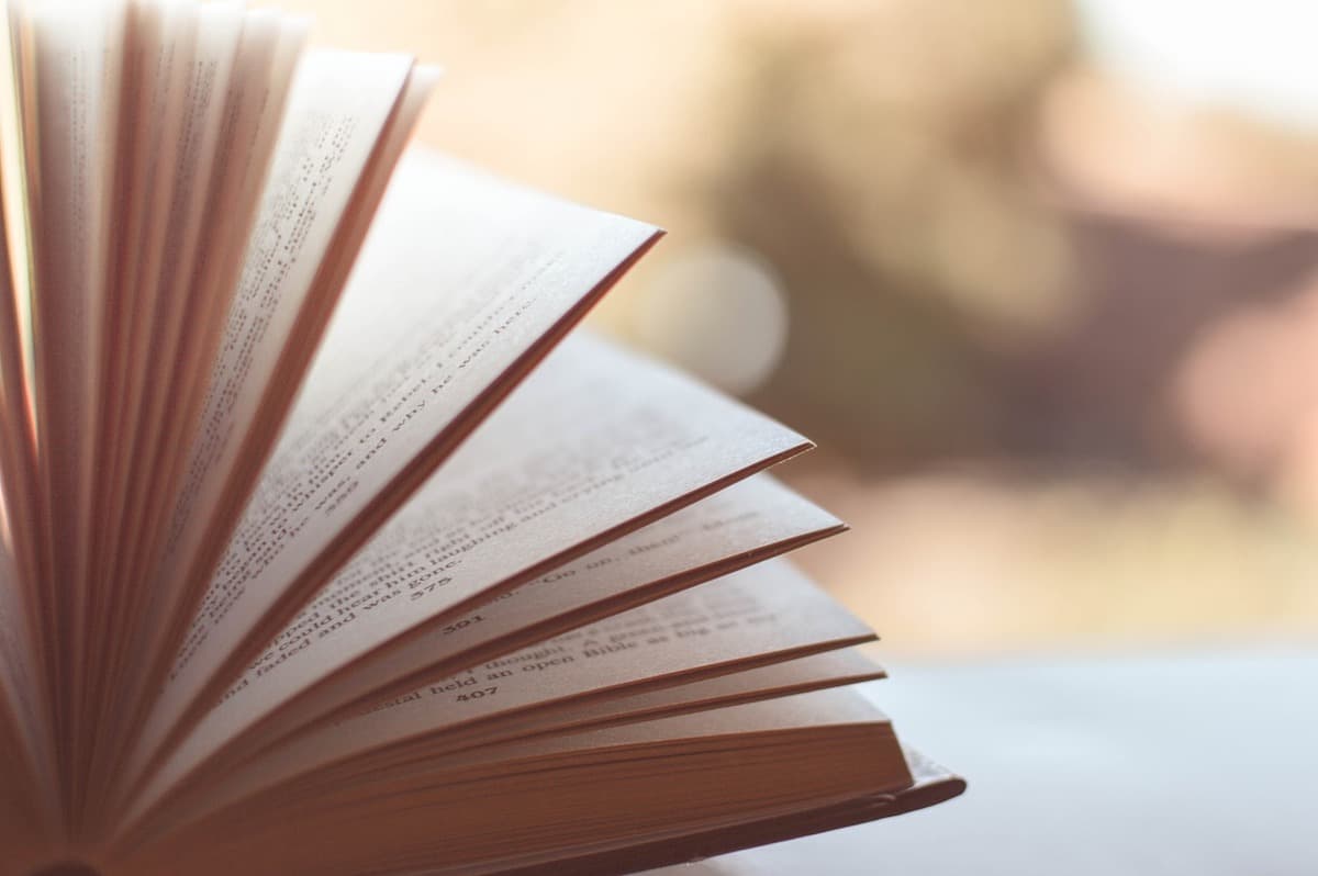 Romanian president launches reading challenge