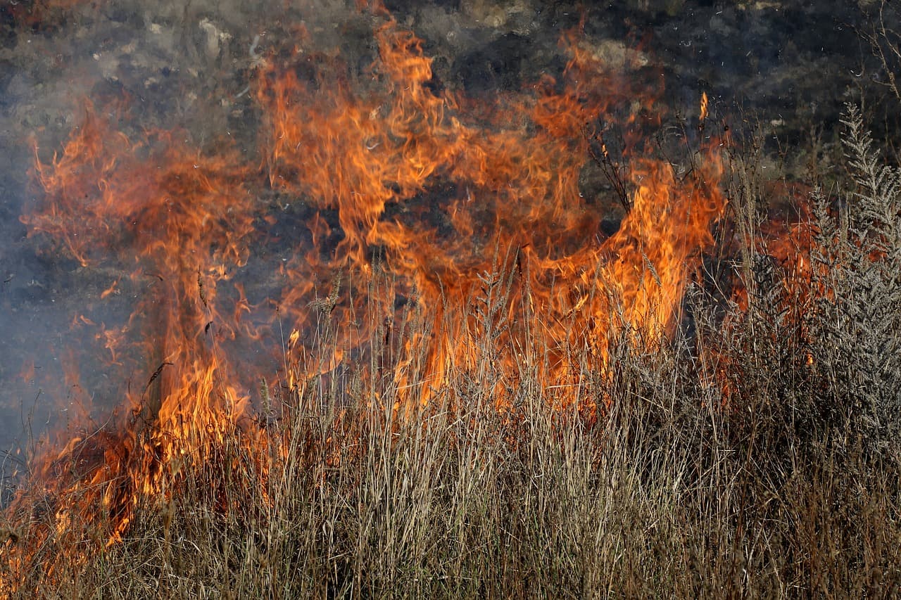 Hundreds of vegetation fires in Romania cause damages, traffic disruption
