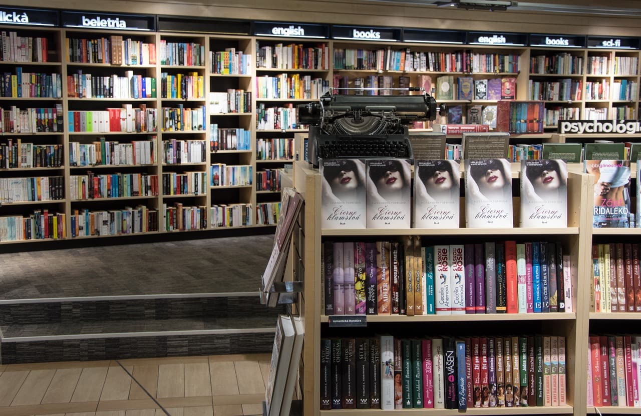 Proposal: State funding to open bookstores in Romania