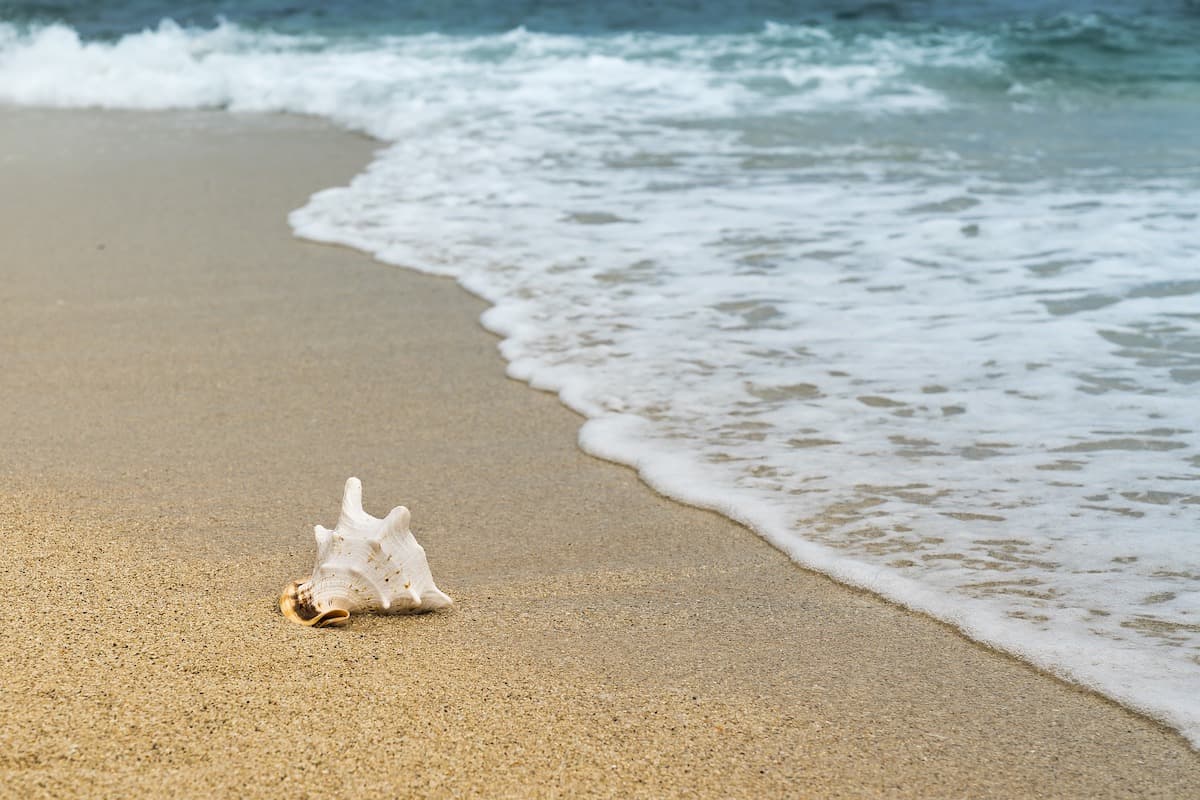 Romanian beach selected among the best in Europe