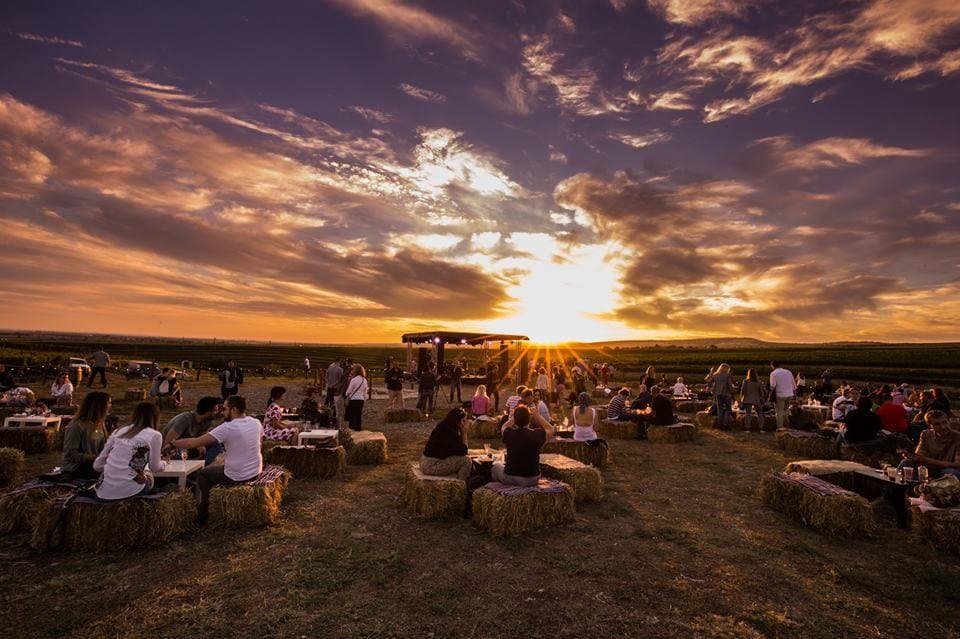 Tohani Romania vineyard hosts music & film festival in early September