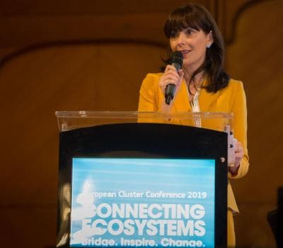 Romanian is European cluster manager of 2019
