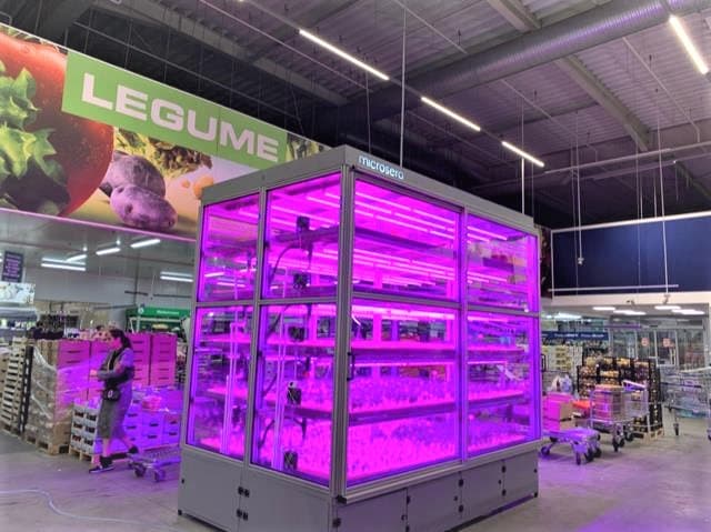 Metro store in Bucharest grows its own aromatic plants in indoor vertical micro-farm