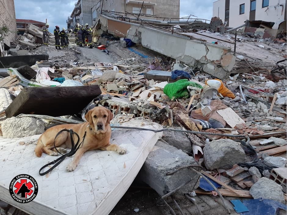 Romanian rescue dogs help search for victims of earthquake in Albania