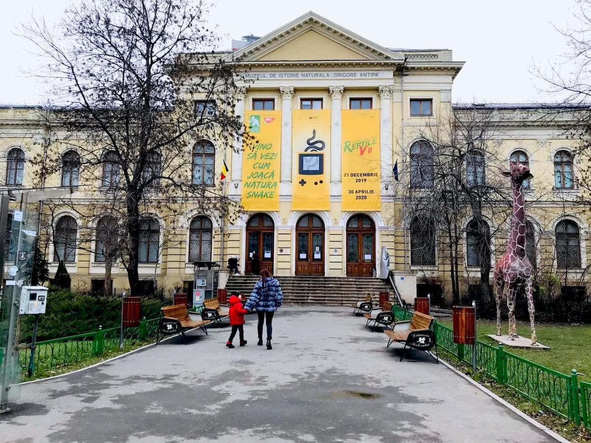“Destination: Bucharest” – A visit to Antipa Museum, a destination for the whole family